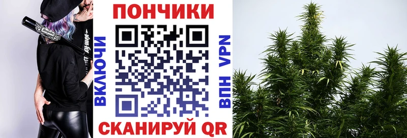 Где можно купить наркотики Отрадная ГАШИШ  Каннабис  А ПВП  Меф мяу мяу  КОКАИН 