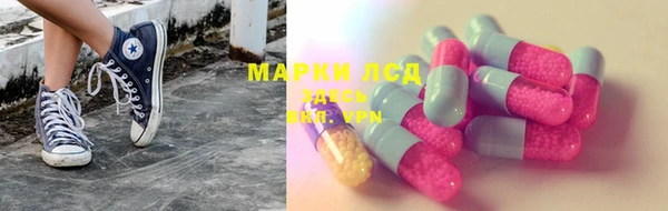 ешки Бородино