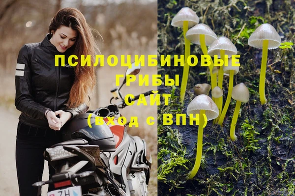 ешки Бородино