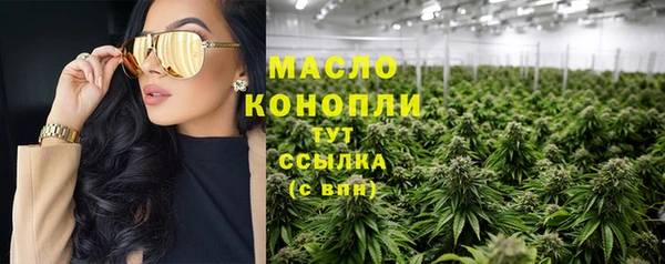 ешки Бородино