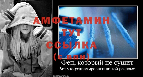 ешки Бородино