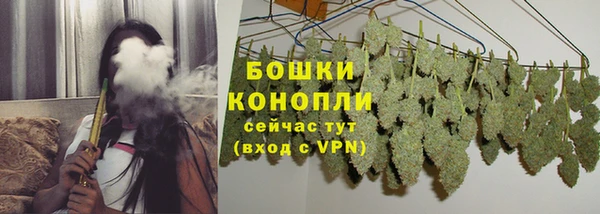 ешки Бородино