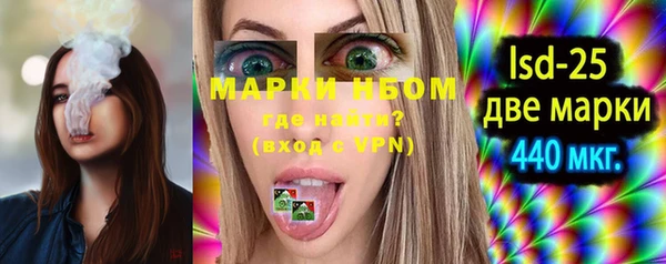 ешки Бородино